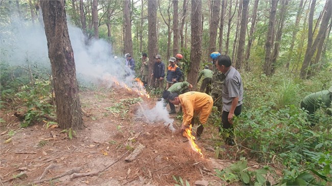 Gia Lai: Tăng cường biện pháp phòng chống cháy rừng (24/2/2023)